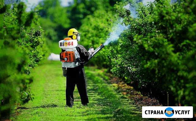 Обработка от комаров клещей Энгельс Энгельс - изображение 1
