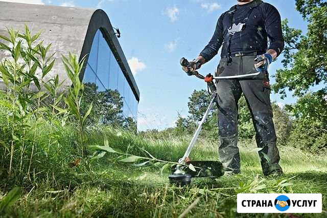Скашивание травы, спил деревьев Сыктывкар - изображение 1