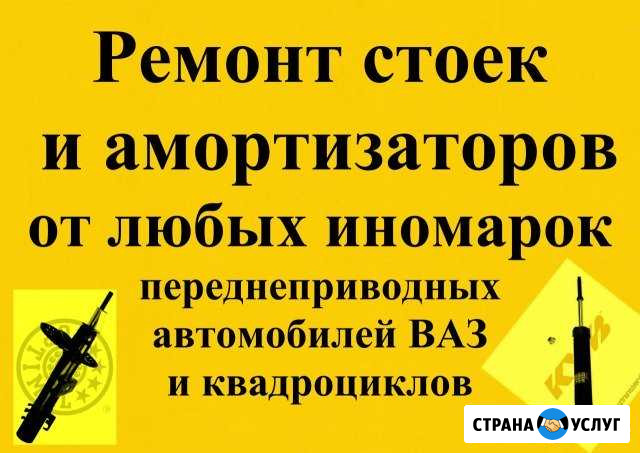 Ремонт и прокачка стоек и амортизаторов в Чите Чита - изображение 1