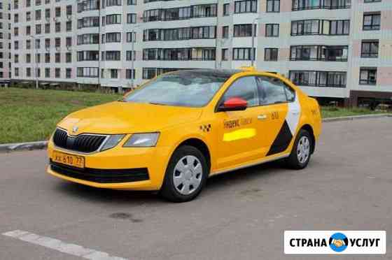 Аренда авто Skoda Octavia Москва