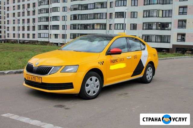 Аренда авто Skoda Octavia Москва - изображение 1