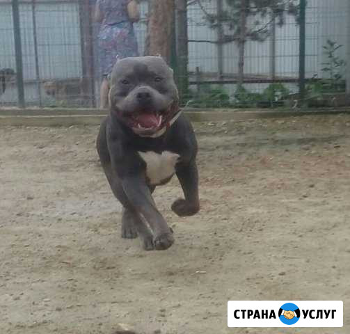 Гостиница для собак «Спи-Ешь-Пей. Садовый» Садовый - изображение 1
