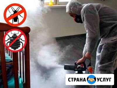 Дезинфекция Ставрополь - изображение 1
