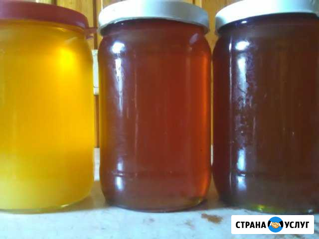 Мед оптом и в розницу в Г.Нальчик Нальчик - изображение 1