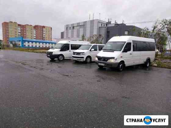 Аренда автомобильной техники Новый Уренгой