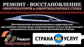 Прокачка стоек Шадринск