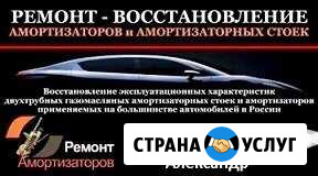 Прокачка стоек Шадринск - изображение 1