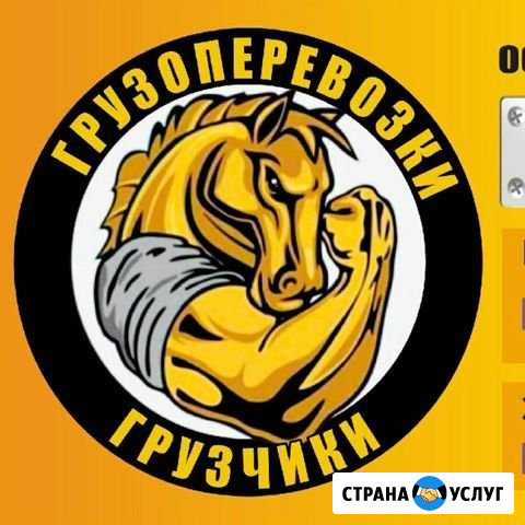 Грузчики Быстрого Реагирования,Вывоз мусора,Переез Калининград - изображение 1