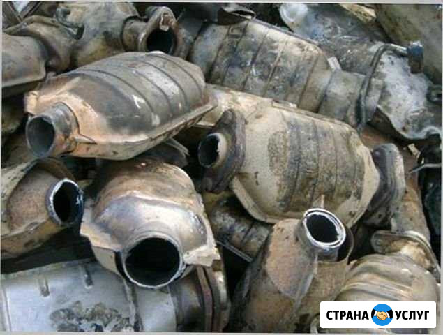 Скупка катализаторов, прием катализаторов Козлово - изображение 1