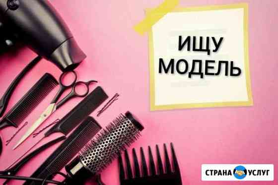 Требуется модель Саратов