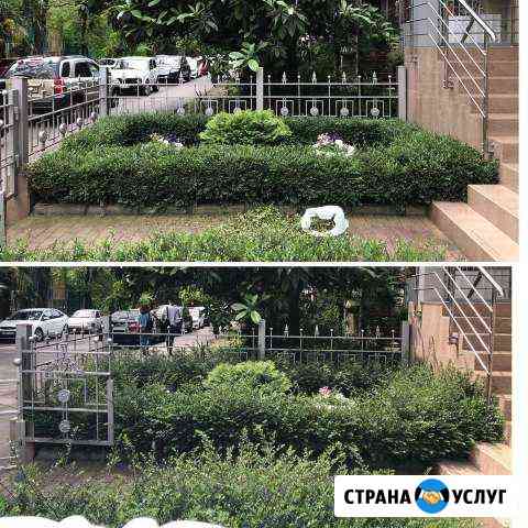 Садовник Сочи