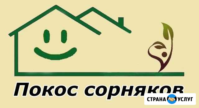 Покос травы Камыша.Спил и Выкорчёвка пней Астрахань - изображение 1