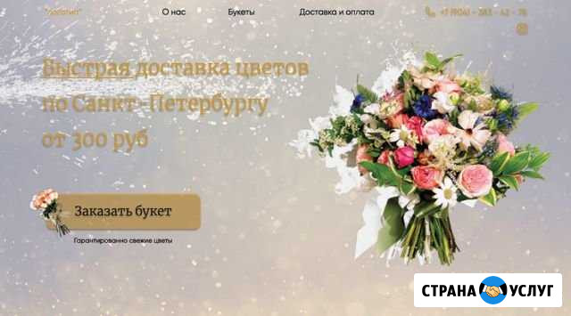 Создам продающий лендинг Зеленогорский - изображение 1