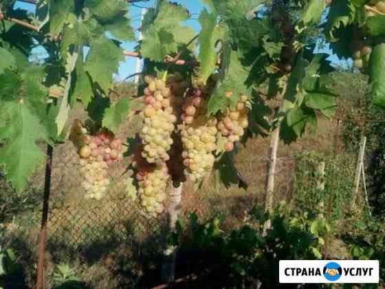 Мастер на час Калуга