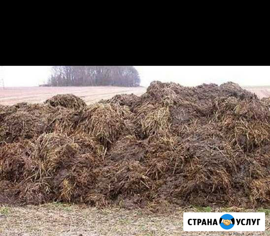 Навоз Нерехта - изображение 1