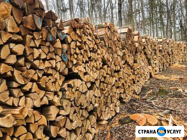 Дрова от производителя Ижевск - изображение 1