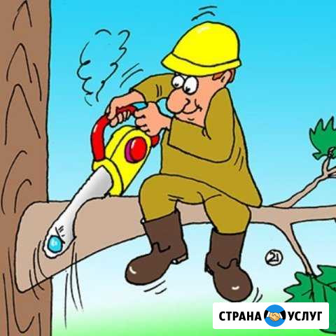 Спил деревьев Ейск - изображение 1