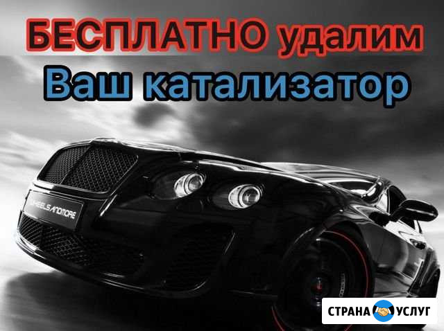 Бесплатное удаление катализатора Пятигорск - изображение 1