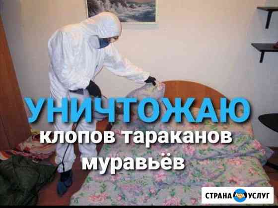 Уничтожение клопов тараканов муравьёв клещей Красн Красноярск