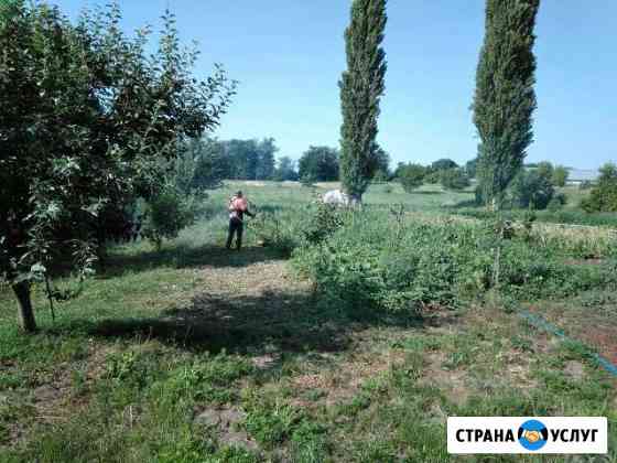 Сборка мебели Красногвардейское