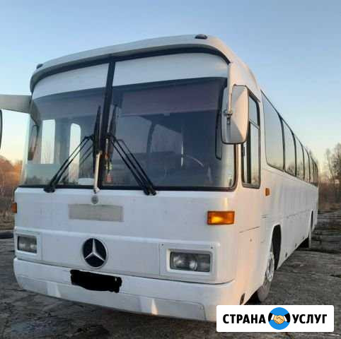 Пассажирские перевозки по области Калининград - изображение 1