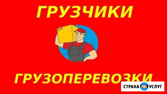 Настоящие профессионалы Волгодонск - изображение 1