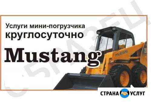 Аренда минипогрузчика Сыктывкар