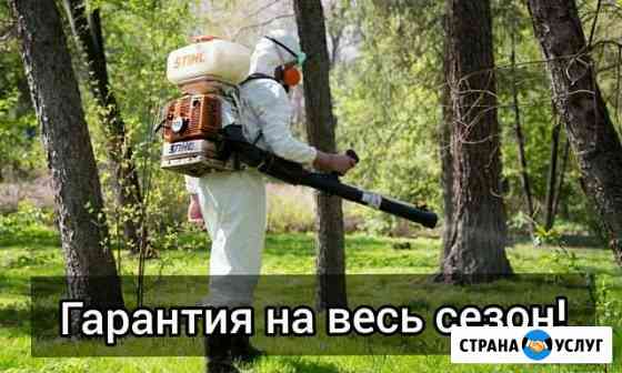 Акарицидная обработка от комаров, клещей, мух Одинцово