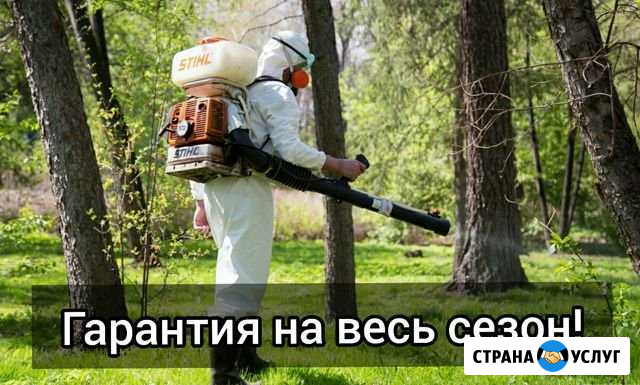 Акарицидная обработка от комаров, клещей, мух Одинцово - изображение 1