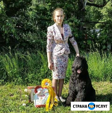 Хендлер Сергиев Посад - изображение 1