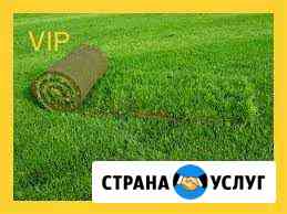 Газон: Подготовка, посев, укладка. Автополив Волгоград