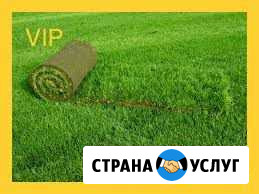 Газон: Подготовка, посев, укладка. Автополив Волгоград - изображение 1
