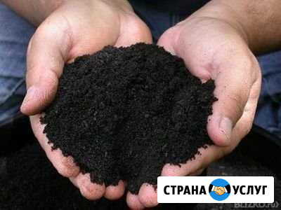 Земля чернозём Новосибирск - изображение 1