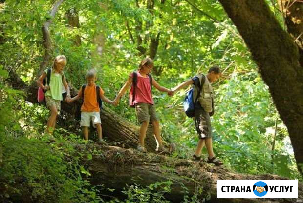 Экскурсии в лесу или где у леса мозг Тюмень - изображение 1