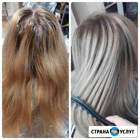 Окрашивания любой сложности. опыт Кропоткин - изображение 1