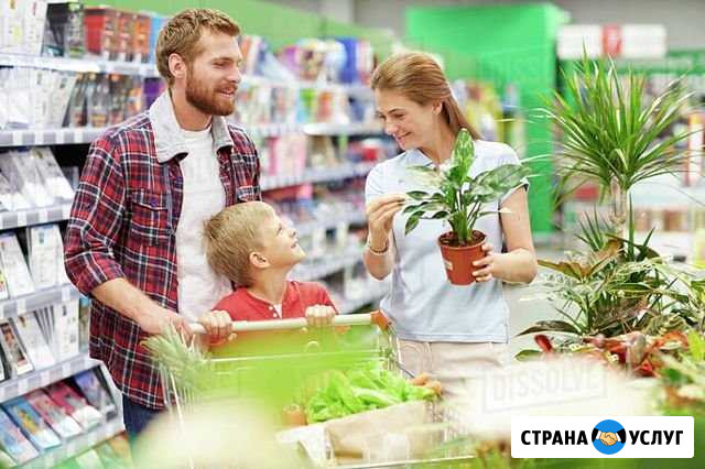 Помощь переход на здоровое питание Выселки - изображение 1