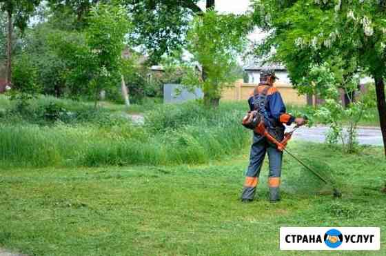 Скос травы Карталы