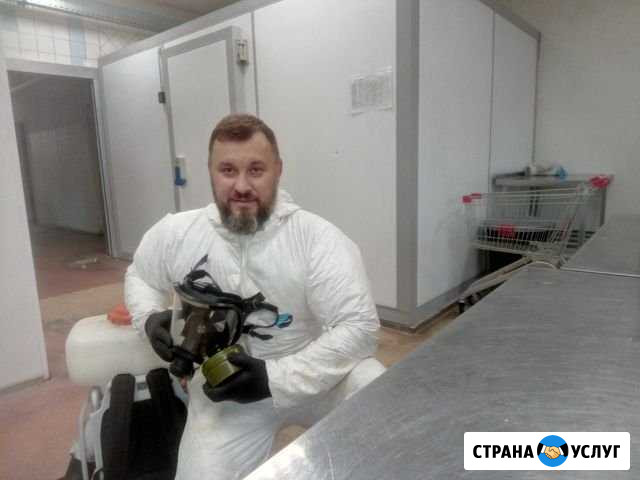Уничтожение клопов, тараканов, блох и т.д Тверь - изображение 1