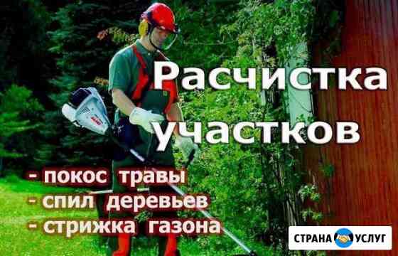 Расчистка участков, спил деревьев, покос травы, ку Сочи