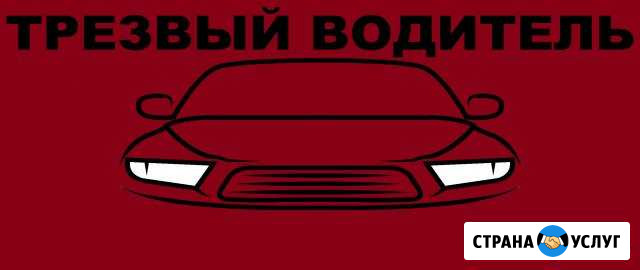 Трезвый водитель Абакан - изображение 1