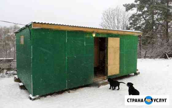 Передержка для собак в Тульской области Дубна