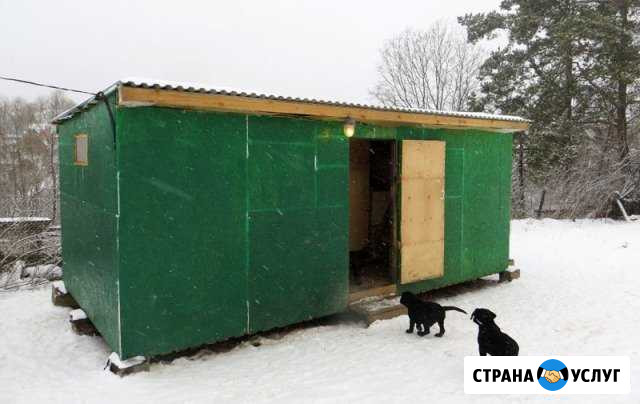 Передержка для собак в Тульской области Дубна - изображение 1