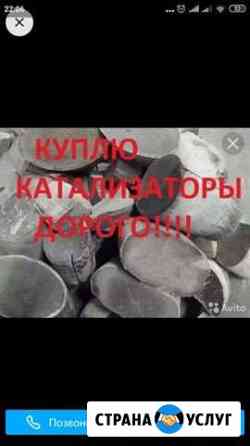 Катализатор Владимир