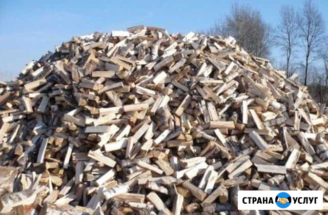 Продаю дрова с доставкой Челябинск - изображение 1