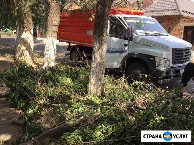 Вывоз мусора, деревьев, веток, строительного мусор Махачкала - изображение 1