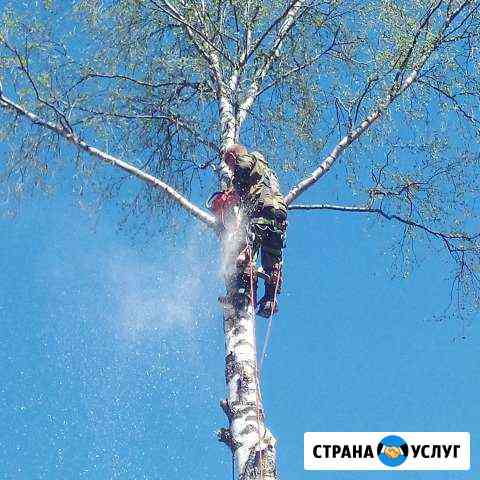 Продам дом на улице Якунинской в Зашекснинском районе в городе Череповце 114.0 м² на участке 8.0 сот этажей 2 4650000 руб база Всн ру объявление 59083104