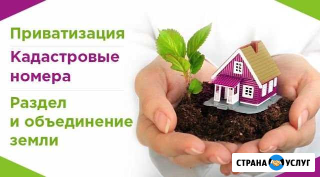 Помощь в оформлении документов Астрахань - изображение 1