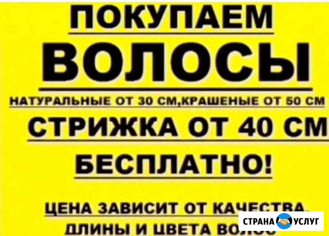 Волосы Орёл - изображение 1