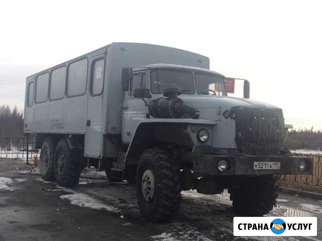 Вахтовый автобус 28 мест (пропуск газпром) Уренгой - изображение 1