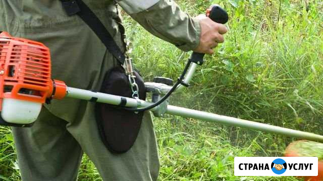 Покос травы, сена. Спиливание кустов Россошь - изображение 1